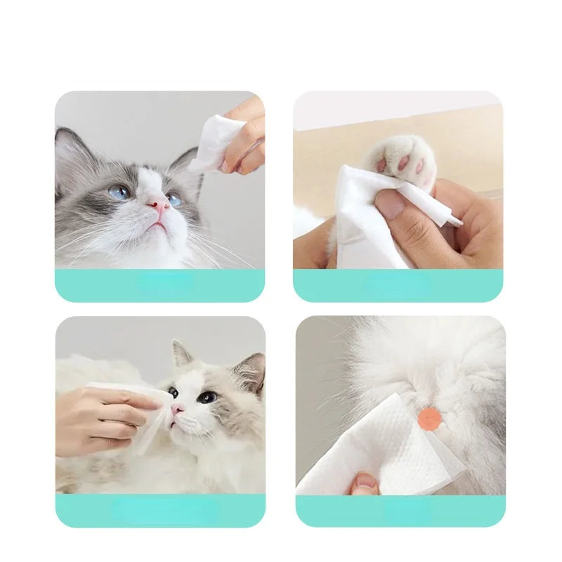 80 Pcs Pet Wet Wipes – For Teeth, Eyes, Paws & Hygiene Care