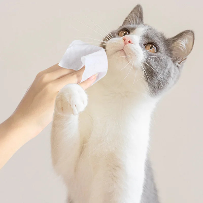 Usable Pet Wet Wipes Dogs Cats Teeth Cleaning Teeth Cleaning Soft Paper Tear Ass Eye Tears Finger Health Care Hygiene Paws Poop 80Pcs